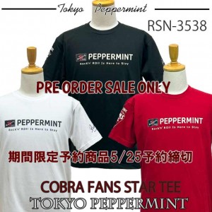 RSN-3538